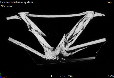 carbon-ct-scan